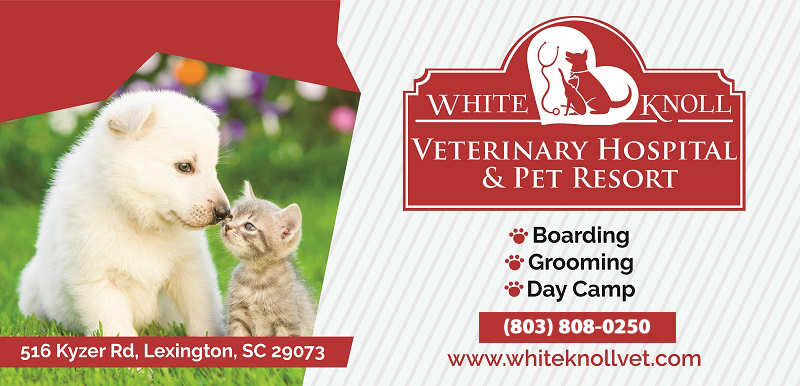 Pet Resort in Lexington, SC - White Knoll Veterinary Hospital and Pet Resort